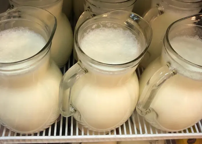 Ambassador Voskopojë