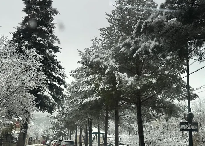 Ambassador 酒店 4*